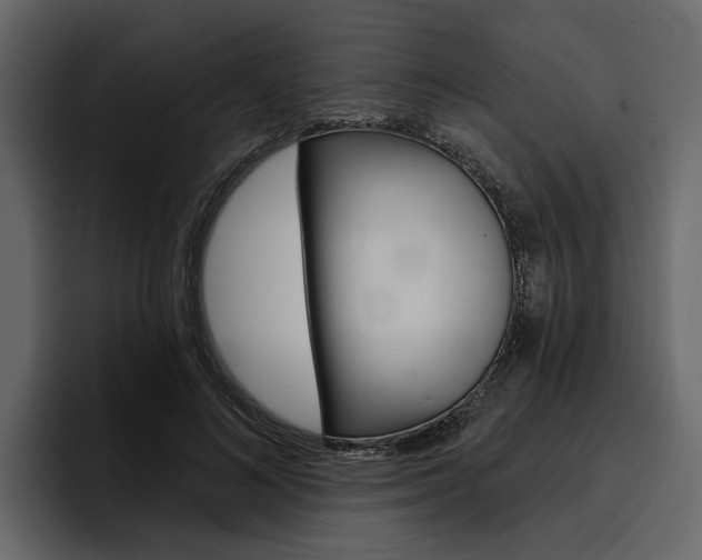 X0000097490692200802220841