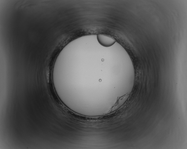 X0000097490694200802220841