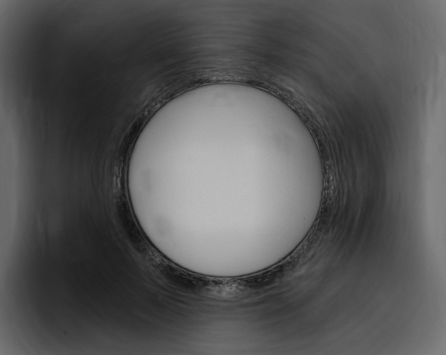 X0000097490695200802220841