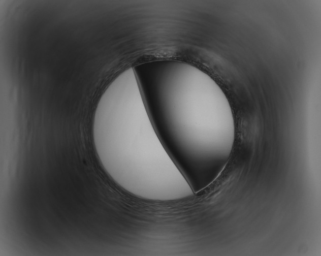 X0000097490697200802220841