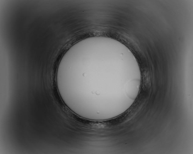 X0000097490698200802220841