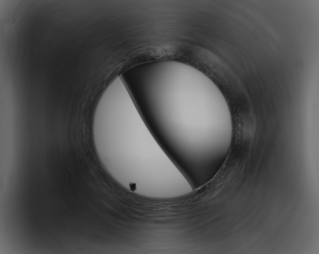 X0000097490700200802220841