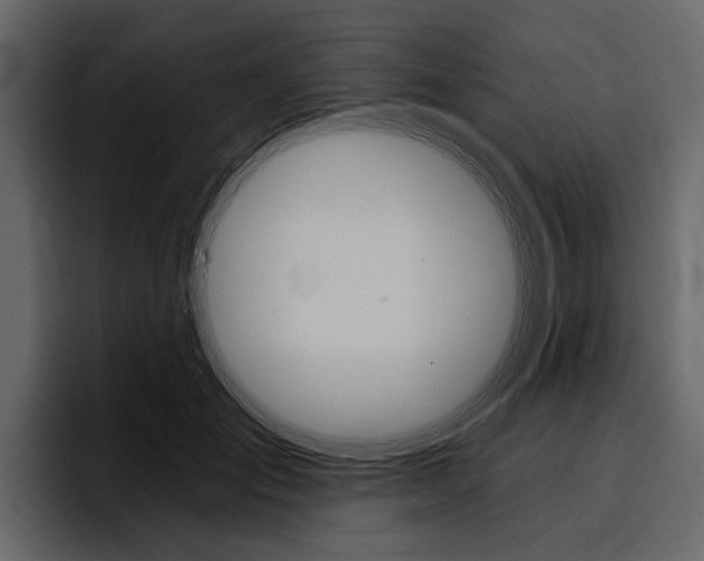 X0000097490701200802220841