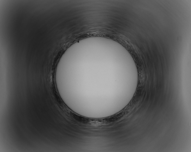 X0000097490703200802220841