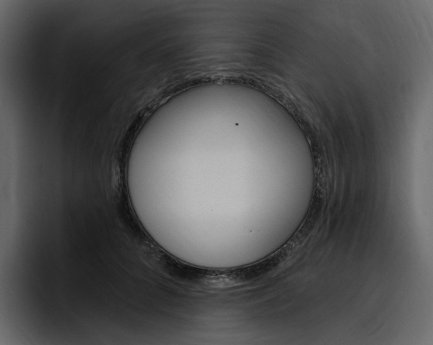 X0000097490704200802220841