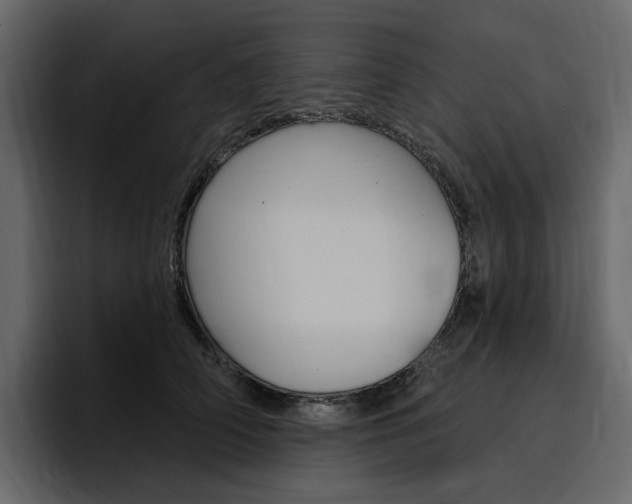 X0000097490706200802220840