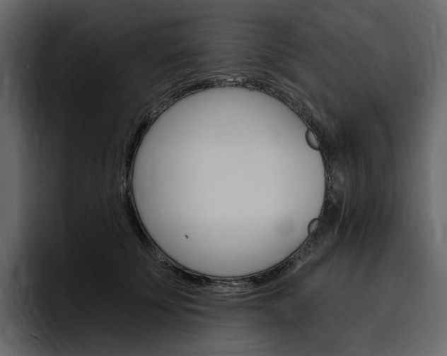 X0000097490707200802220840