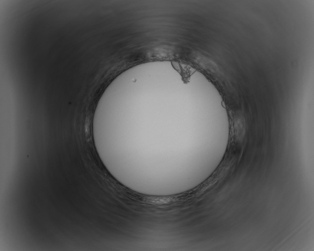 X0000097490709200802220840