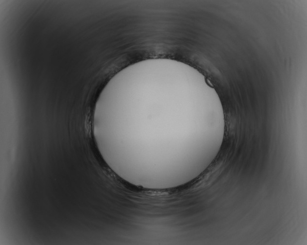 X0000097490719200802220840