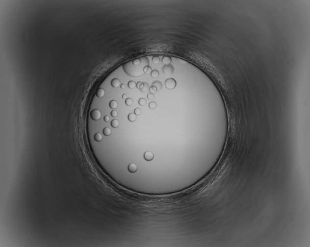 X0000097490721200802220840