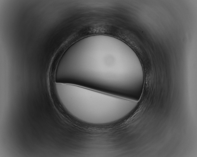 X0000097490722200802220840