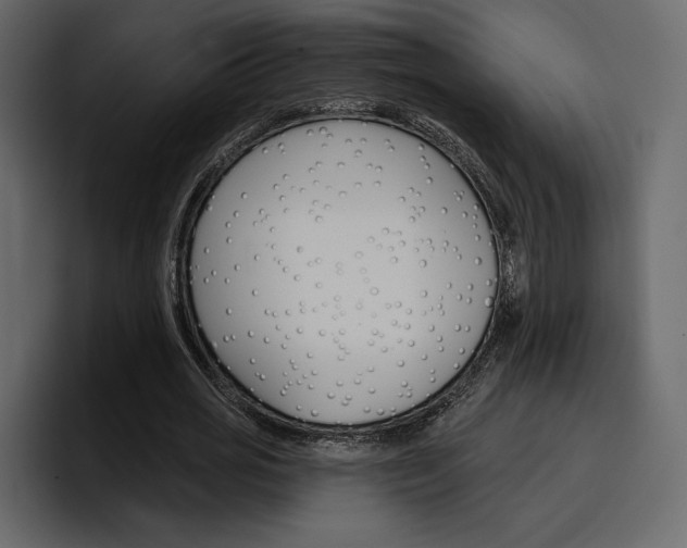 X0000097490725200802220840