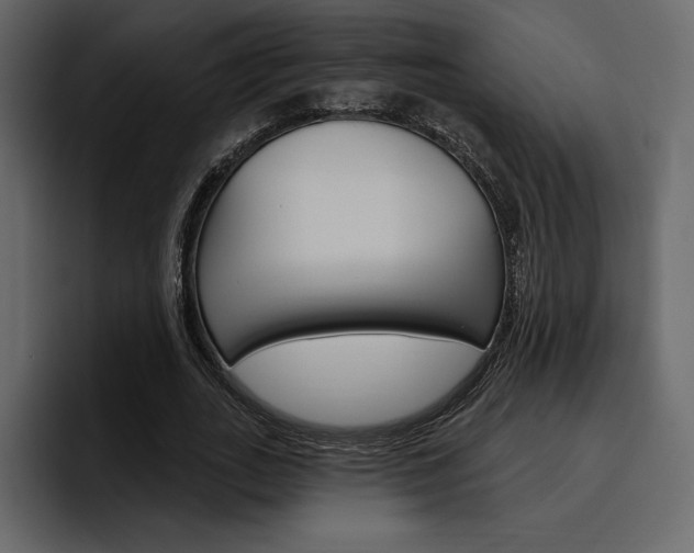 X0000097490727200802220840