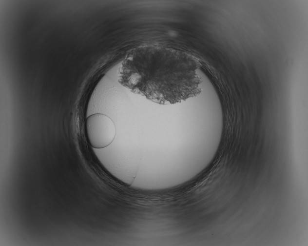 X0000097490734200802220840