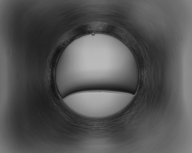 X0000097490735200802220840