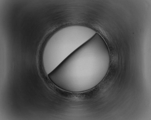 X0000097490736200802220840
