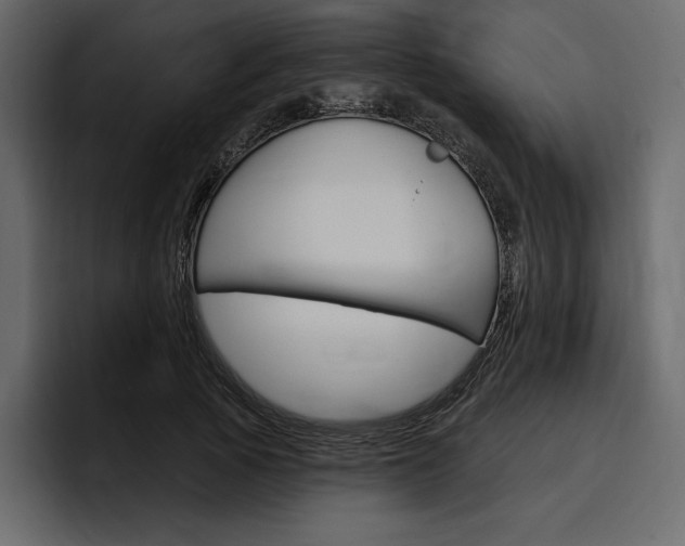 X0000097490737200802220840