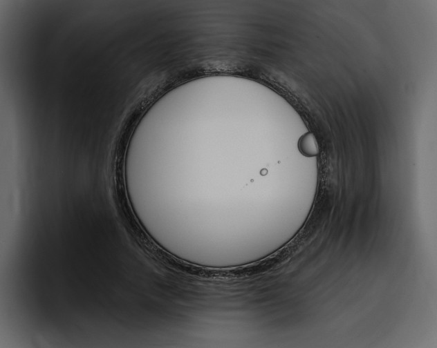 X0000097490738200802220840