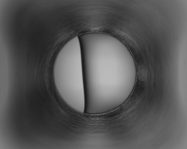 X0000097490740200802220840