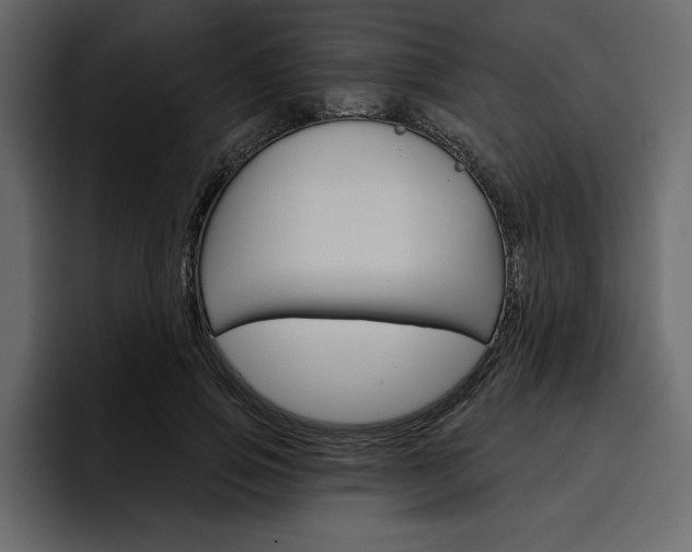 X0000097490741200802220840
