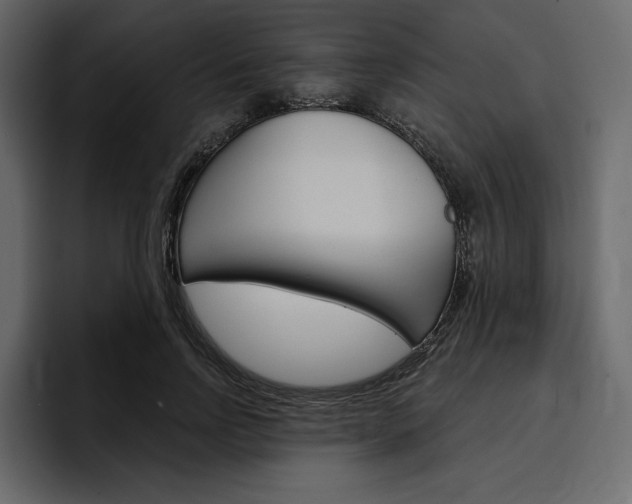 X0000097490742200802220840