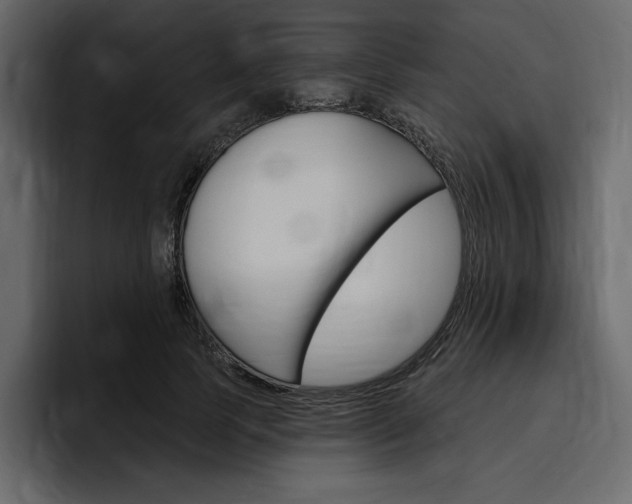 X0000097490745200802220840