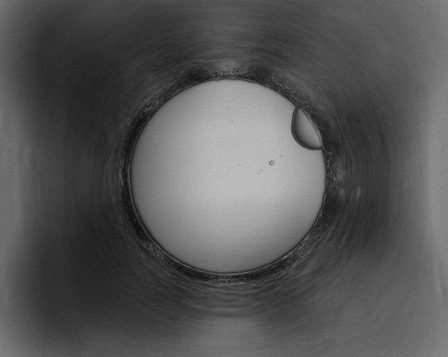 X0000097490746200802220840
