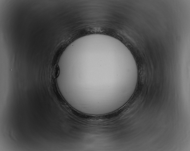 X0000097490747200802220840