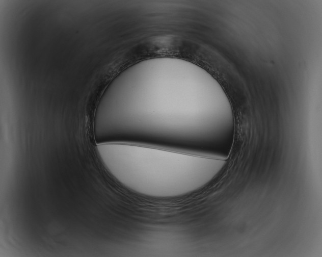 X0000097490748200802220840