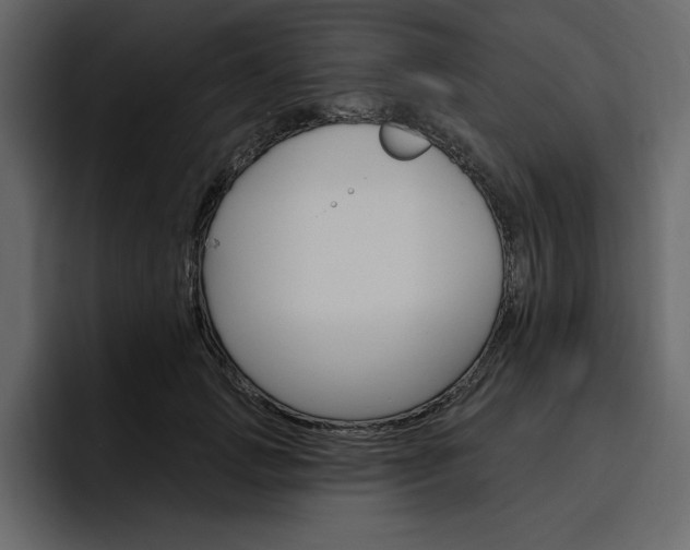 X0000097490749200802220840