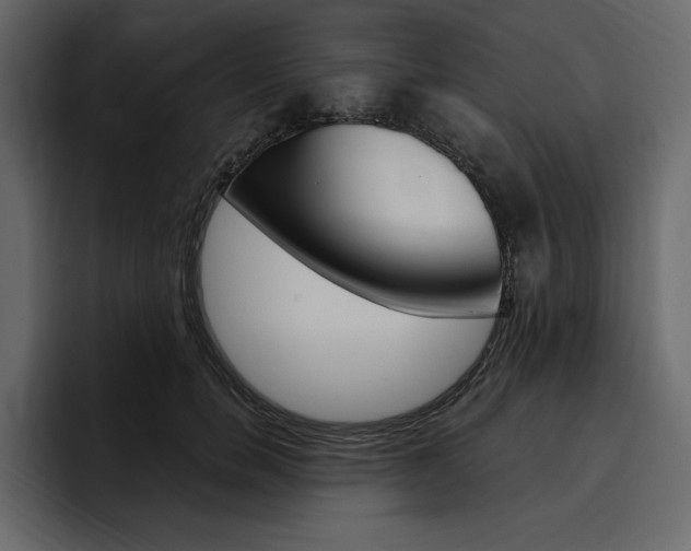 X0000097490750200802220840