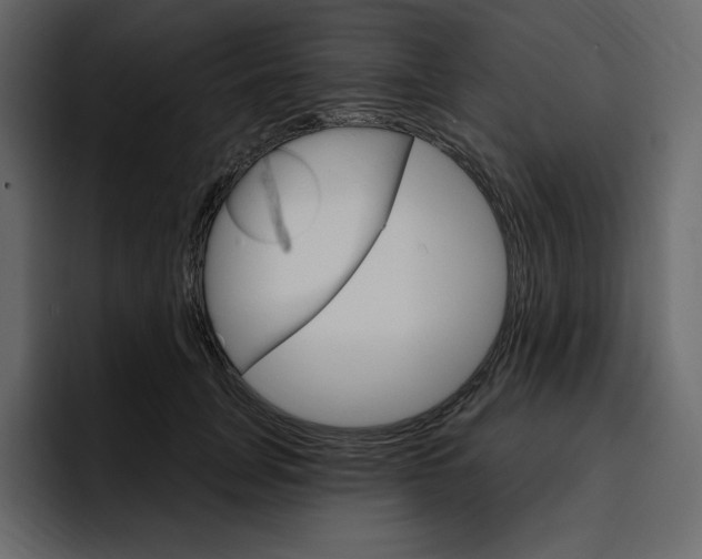 X0000097490751200802220840