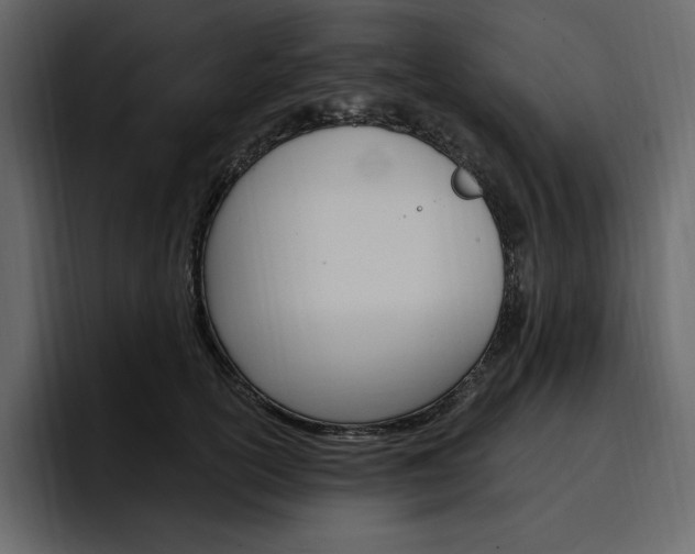 X0000097490754200802220840