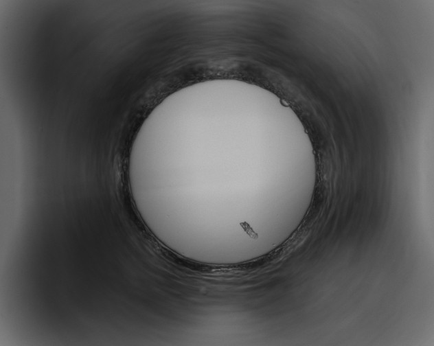 X0000097490758200802220840