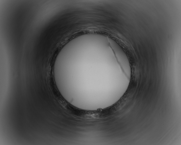 X0000097490760200802220840