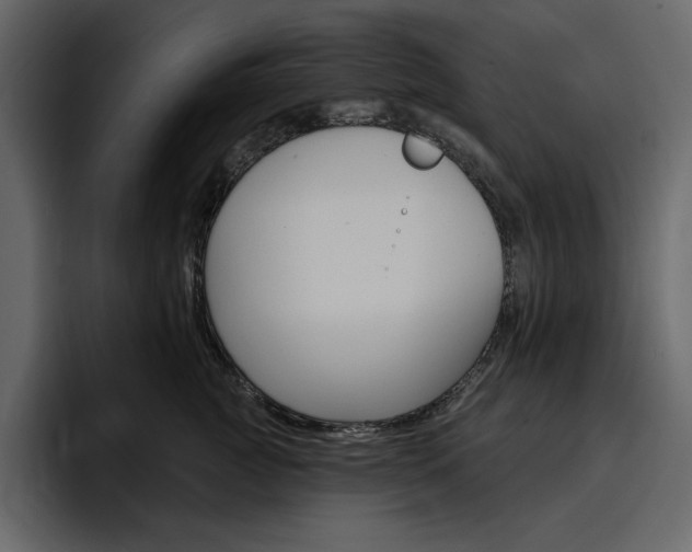 X0000097490761200802220840