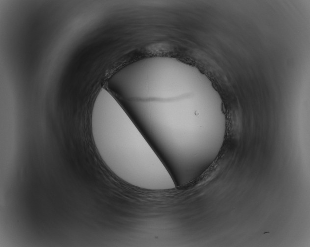 X0000097490762200802220840