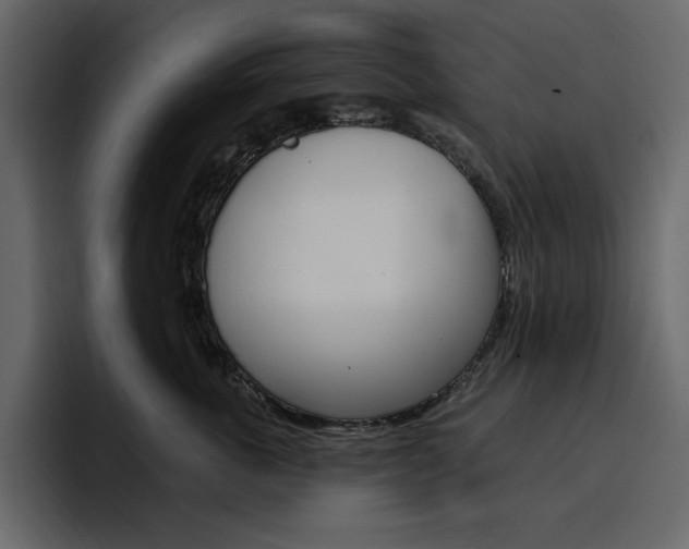 X0000097490763200802220840