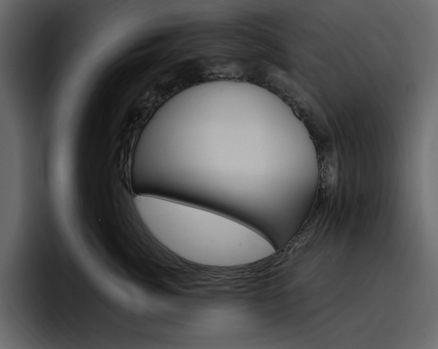 X0000097490764200802220840