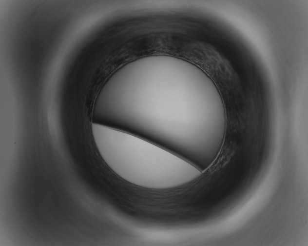 X0000097490766200802220840