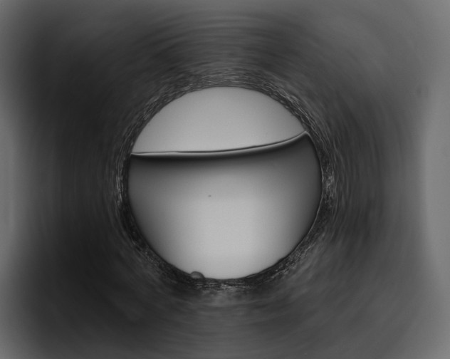 X0000097490772200802220840