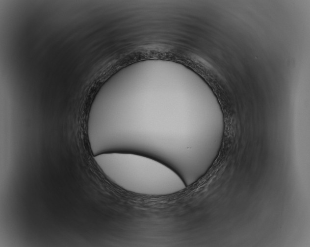 X0000097490774200802220840