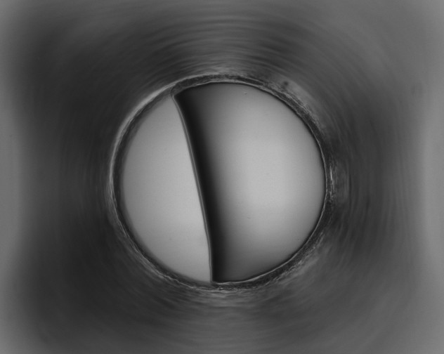 X0000097490780200802220840