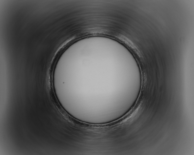 X0000097490782200802220840
