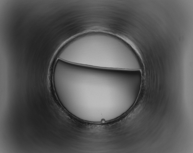 X0000097490783200802220839