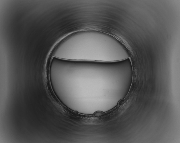 X0000097490784200802220839