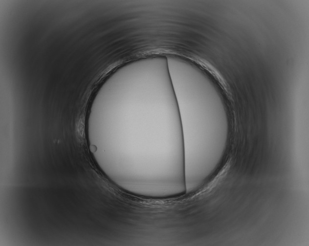 X0000097490785200802220839