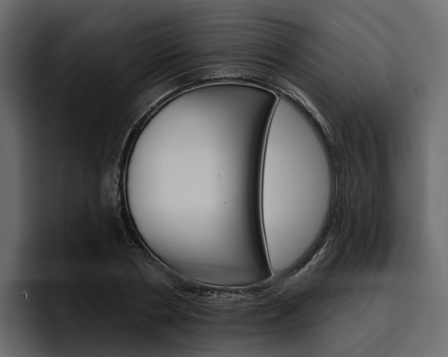 X0000097490786200802220839