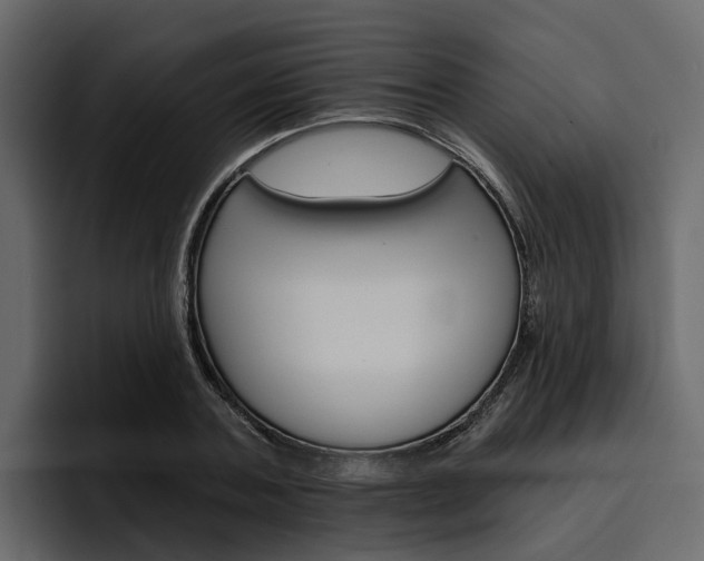 X0000097490787200802220839