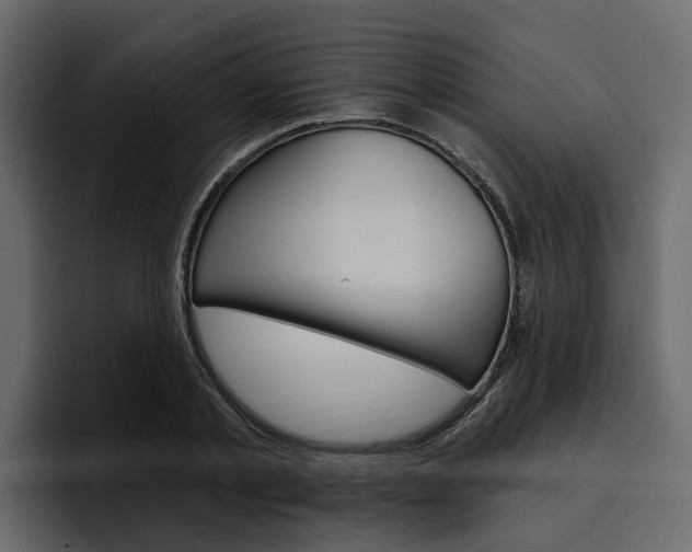 X0000097490789200802220839